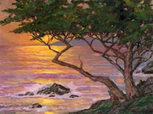 Cypress Sunset Alex Dzigurski