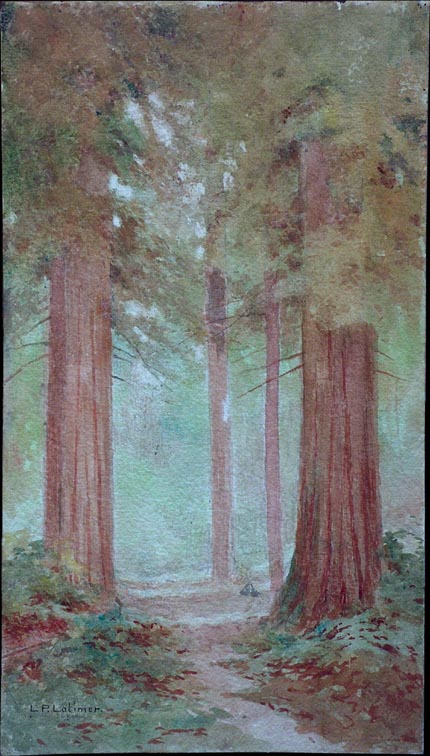 Lorenzo Palmer Latimer Redwoods