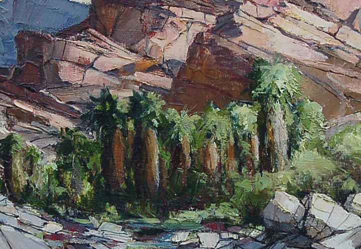 Joshua Meador Andreas Canyon near Palm Springs part of the Disney Collection Closeup