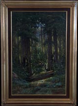Manuel Valencia Redwood Forest Midsized Thumbnail