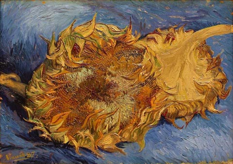 Van_Gogh_Sunflowers
