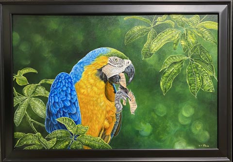 Art @ the Source 2022, Edmund Price, Green Macaw, Acrylic painting, Studio 89C