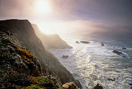 Jerry Dodrill Bodega Head Sea Cliffs