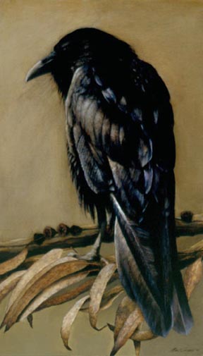 Mari Kloeppel Raven