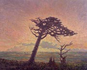Ferdinand Burgdorff Lone Cypress