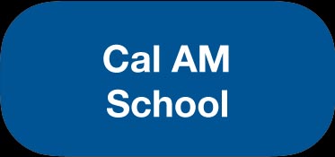 California - American School Button