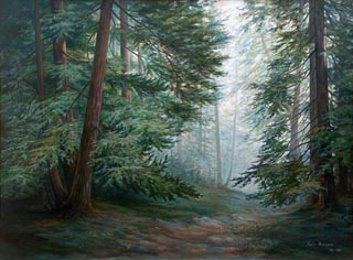 Lydia Vercinsky Redwood Forest
