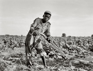 Dorothea Lange 13 year old sharecropper, Americus, GA