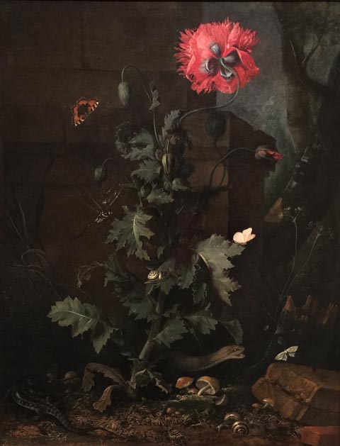Otto Marseus Van Schrieck, 1619-1678 Still Life with Poppy, Insects and Reptiles, c 1670