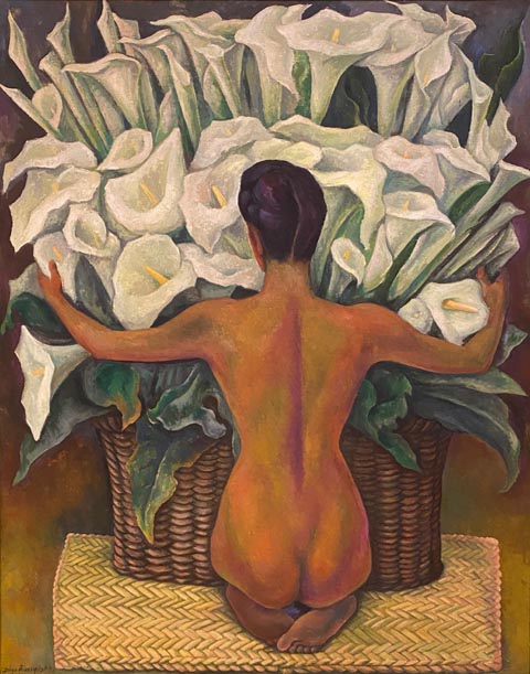 Deigo Rivera, Nude with Calla Lillies, 1944, oil on particle board The model is Nieves Orozco, an Otomi ballet dancer. In an interview after this painting became famous, she recalled the pain of  kneeling for hours on the rough woven petate. Private Collection