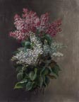 Raoul Maucherat De Longpre Lilacs and Leaves Thumbnail