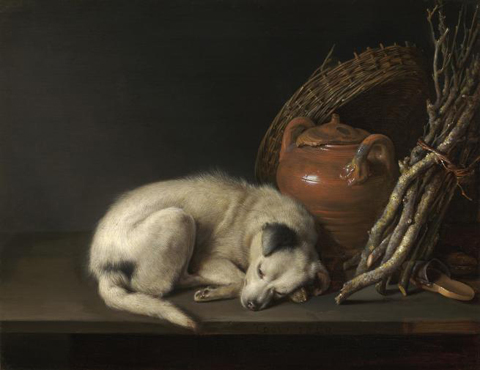 sleeping Dog Gerrit Dou