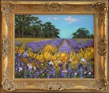 Dorothy Dzigurski, Lavender fields of Provence