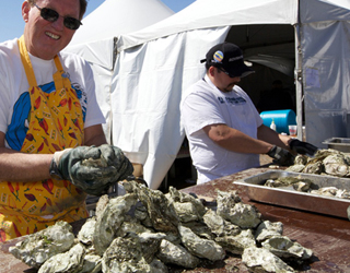 Bodega Bay's Fishermans Festival Shucking Oysters