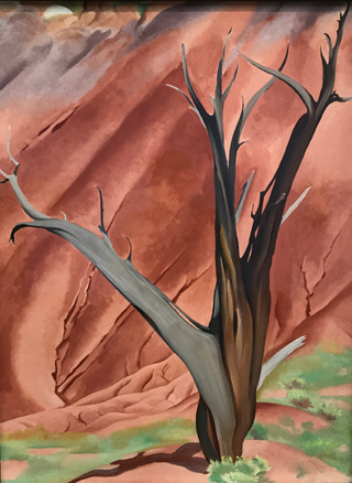 Gerald's Tree I, 1937 Georgia O'Keeffe