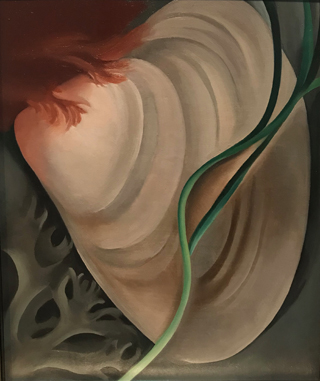 Shell No. 2, 1928 Georgia O'Keeffe