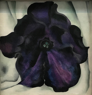 Untitled, (Purple Petunia), 1925 Georgia O'Keeffe