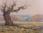 Grace Allison Griffith Spring Shower Valley of the Moon Thumbnail