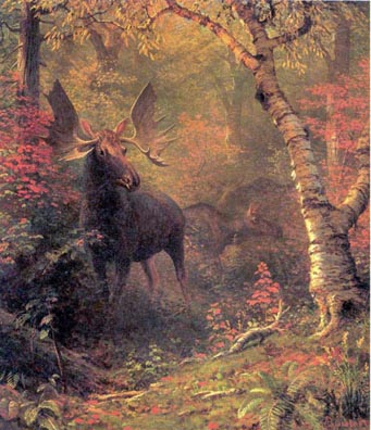 Haggin Museum Albert Bierstadt Moose 