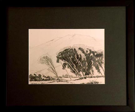Sam Hyde Harris, Eucalyptus and Hillside, Pencil on paper drawing with black frame and dark charcoal mat