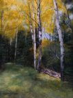 Joyce Blackerby Helton Birch Trees in Autumn Thumbnail