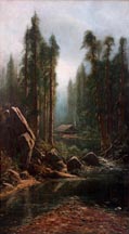 Ransome Holdredge Redwoods Midsized Thumbnail