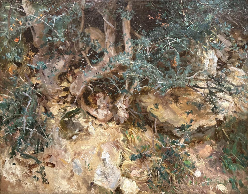 John Singer Sargent, Wild Olive Tree Roots, Valldemosa, Majorca, 1908 oil on canvas, National Gallery of Art, Washington, D.C.
