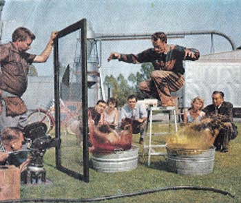 Joshua Meador and Walt Disney Photo