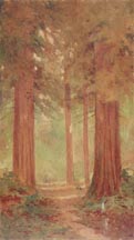 Lorenzo Palmer Latimer Redwoods Midsized Thumbnail