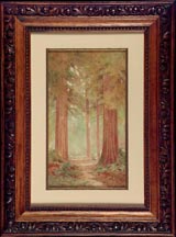 Lorenzo Latimer Redwoods Watercolor