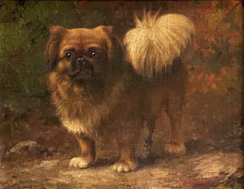 Gustave Adolph Magnussen Pekingese Dog 1924
