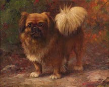 Gustave Adolph Magnussen Pekingese Dog Midsized Thumbnail