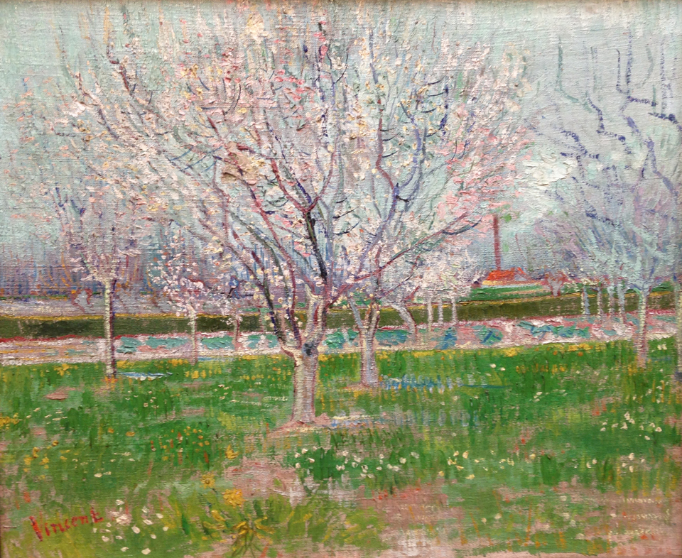 Vincent Van Gogh, Plum Orchard in Blossom, Arles, 1888