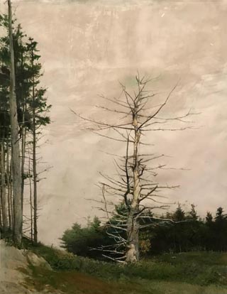 Crow Tree, 2007 (study for Eagle Eye) The Andrew and Betsy Wyeth Collection