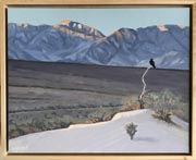 Linda Sorensen Death Valley Raven Dawn