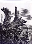 Charles Frederick Surendorf Driftwood Thumbnail