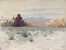 James Swinnerton Desert Mistletoe Midsized Thumbnail