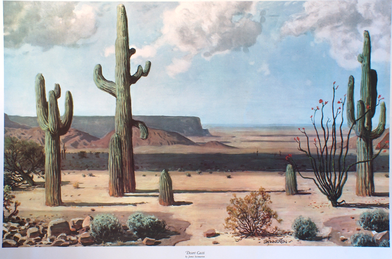 Printbin James Guilford Swinnerton Desert Cacti
