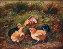 Arther Fitzwilliam Tait Chicks