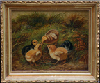 Tait Arthur Fitzwilliam Chicks Thumb .jpg