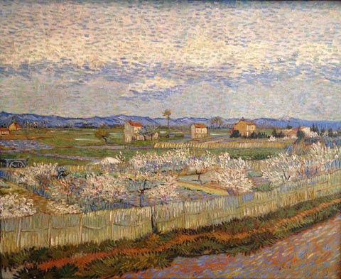 Peach Trees in Blossom, 1889, Vincent Van Gogh Courtauld Gallery, London