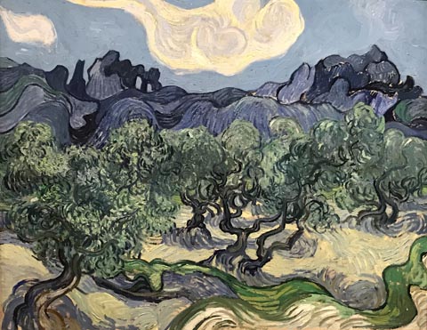 The Olive Trees, June, 1889, Vincent Van Gogh, Museum of Modern Art, New York