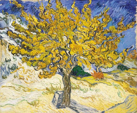 The Mulberry Tree, October 1889, Vincent Van Gogh The Norton Simon Museum, Pasadena