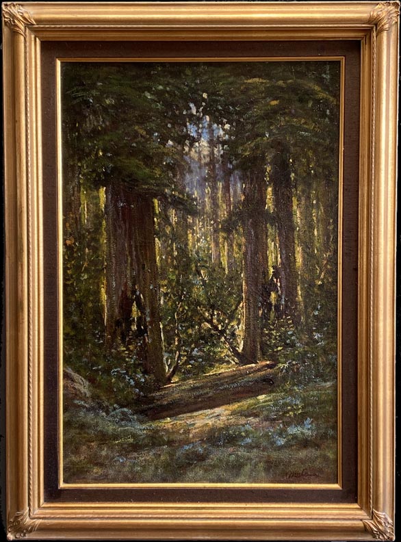 Manuel Valencia California Redwood Forest