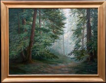 Lydia Vercinscky Redwood Forest