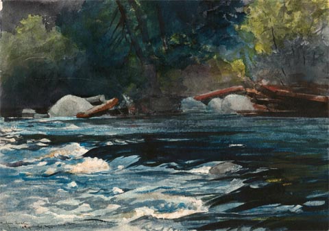 Winslow Homer, The Rapids, Hudson River, Adirondacks 1894 The Art Institute of Chicago, Chicago, IL 