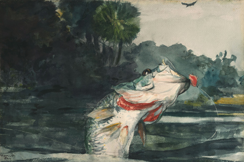 Winslow Homer, Life-Size Black Bass, 1904 Art Institute of Chicago, Chicago, IL 