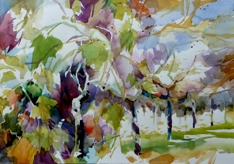 Jean Warren Viogner Vines