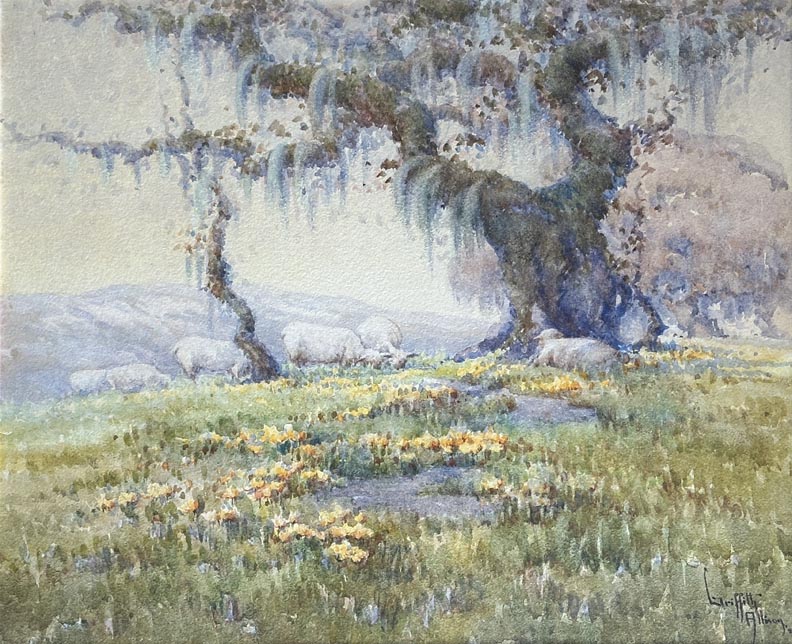 Grace Allison Griffith, Sheep Grazing Sonoma 1924