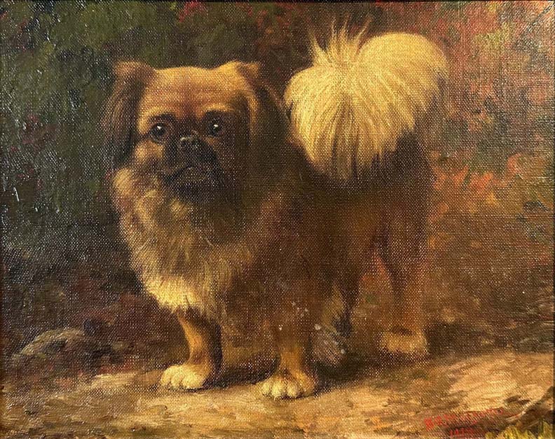 Gustave Magnussen, Pekingese Dog